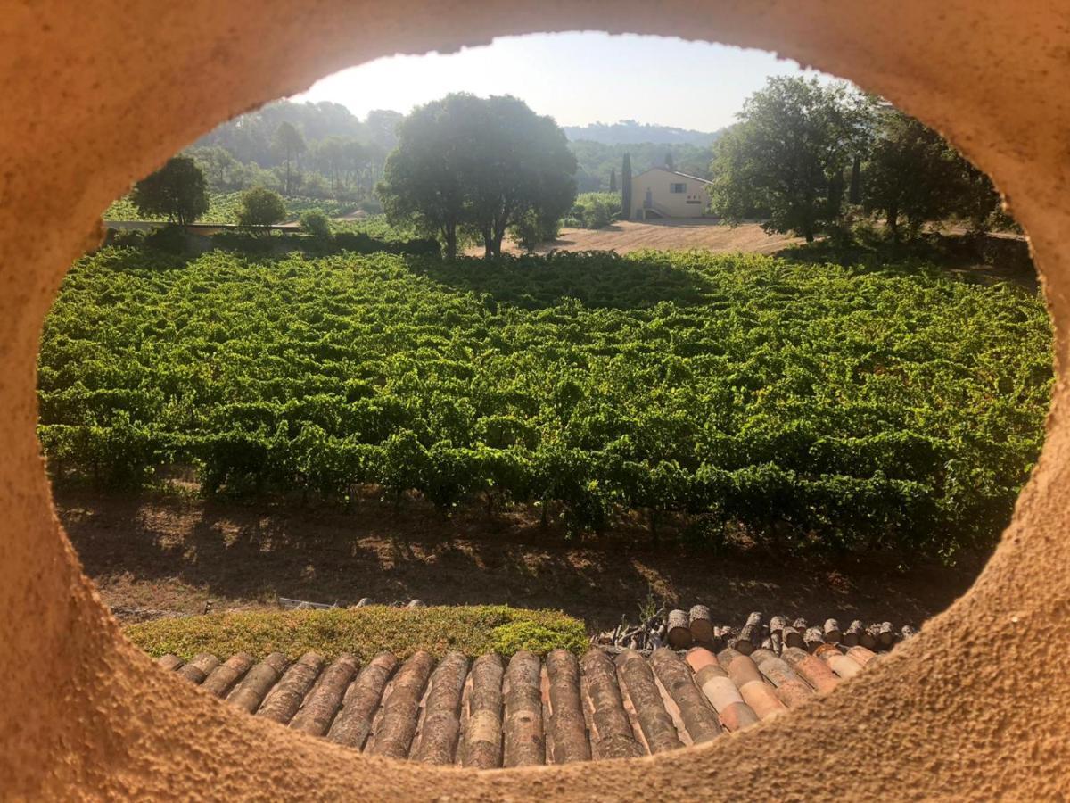 Domaine Du Clos D'Alari-Chambres D'Hotes Au Milieu Des Vignes Saint-Antonin-du-Var Exterior foto