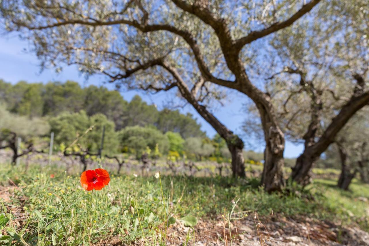 Domaine Du Clos D'Alari-Chambres D'Hotes Au Milieu Des Vignes Saint-Antonin-du-Var Exterior foto