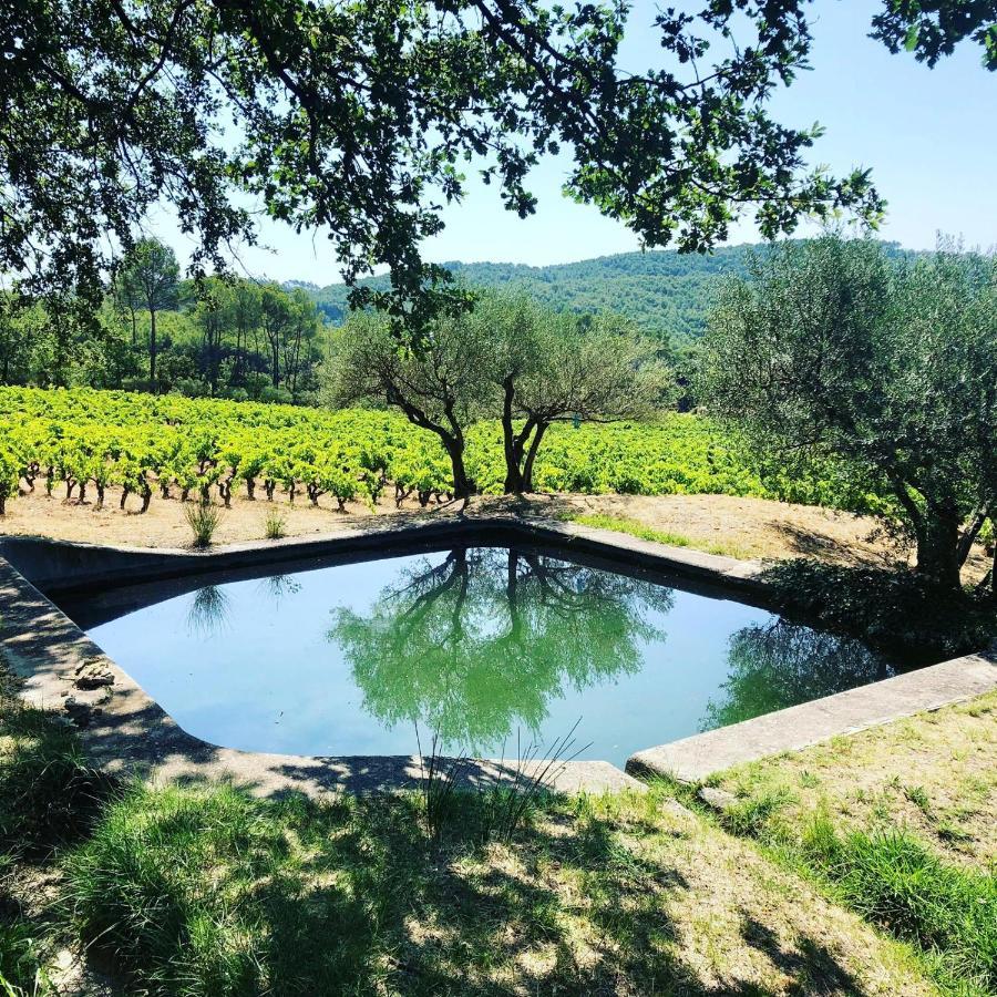 Domaine Du Clos D'Alari-Chambres D'Hotes Au Milieu Des Vignes Saint-Antonin-du-Var Exterior foto