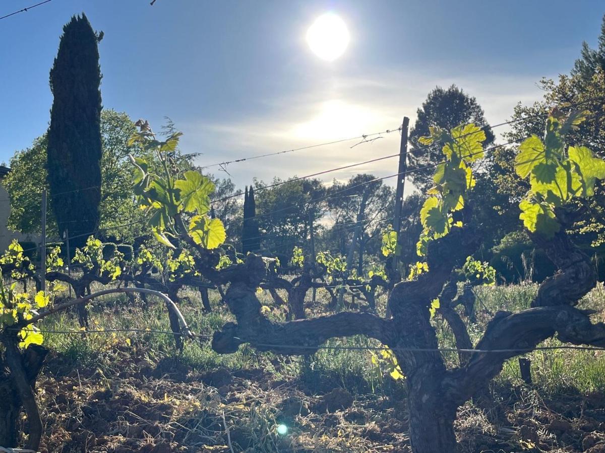 Domaine Du Clos D'Alari-Chambres D'Hotes Au Milieu Des Vignes Saint-Antonin-du-Var Exterior foto