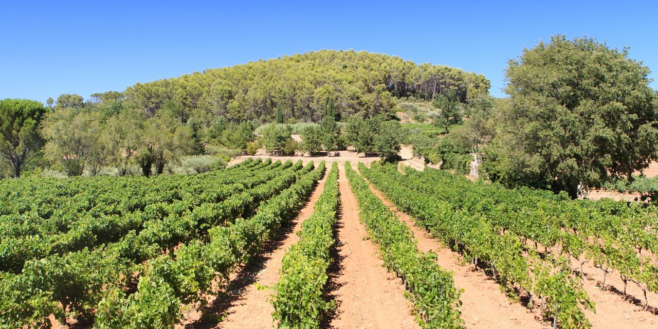 Domaine Du Clos D'Alari-Chambres D'Hotes Au Milieu Des Vignes Saint-Antonin-du-Var Exterior foto