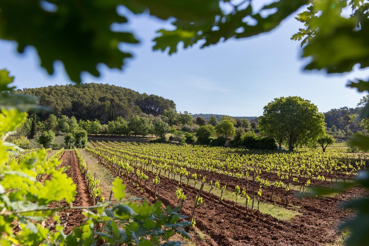 Domaine Du Clos D'Alari-Chambres D'Hotes Au Milieu Des Vignes Saint-Antonin-du-Var Exterior foto